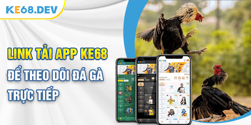 Link tải app Ke68 để theo dõi đá gà trực tiếp 